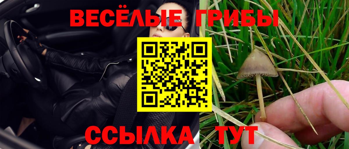 Псилоцибиновые грибы Magic Shrooms  как найти наркотики  Карабулак  Вход с VPN 